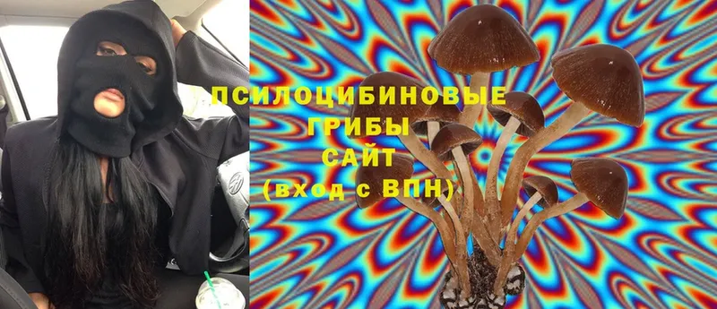 Галлюциногенные грибы Psilocybe  ОМГ ОМГ рабочий сайт  Волхов 